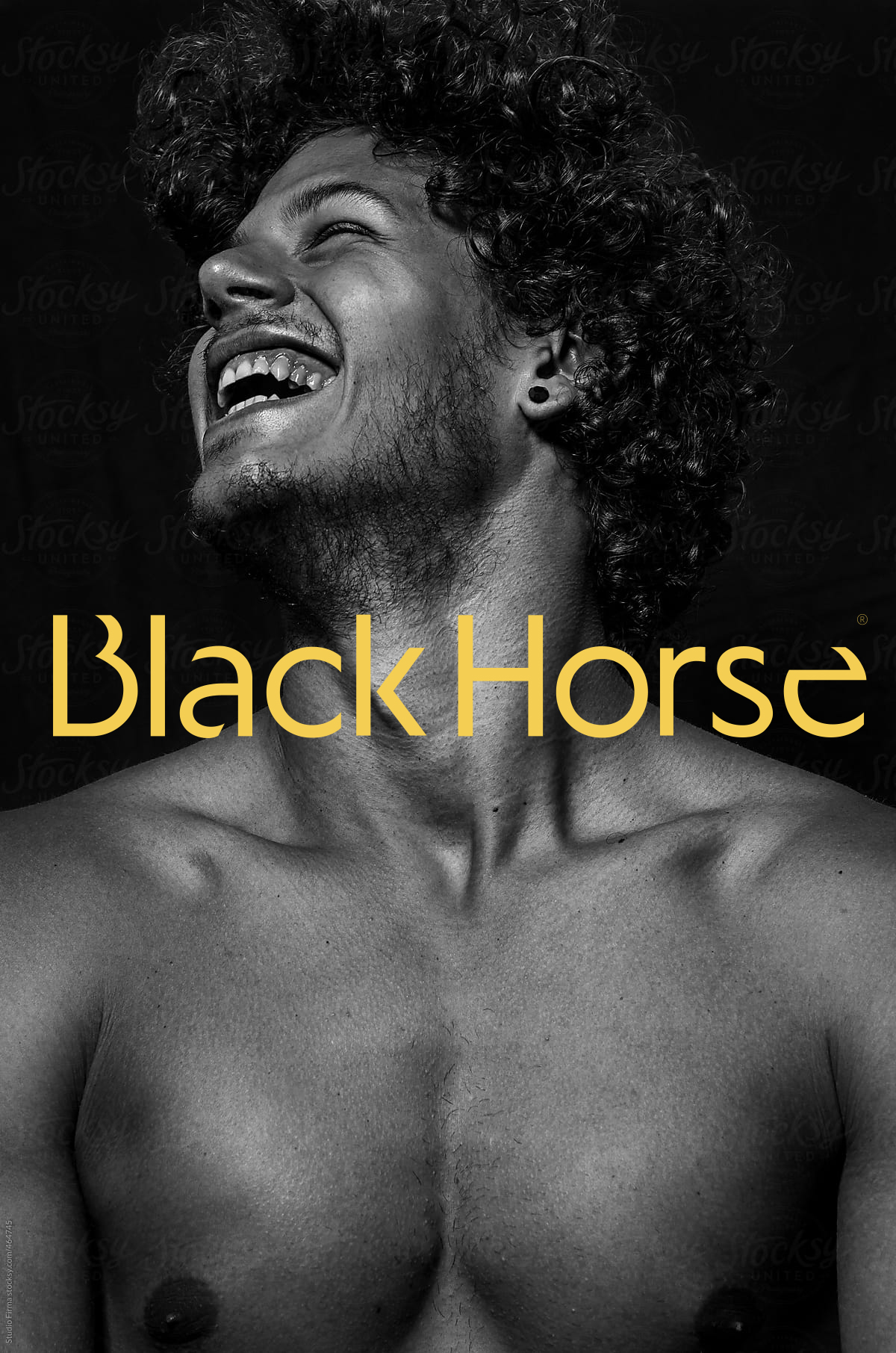 blackhorse03_basic